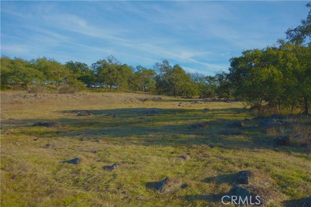 Murrieta, CA 92562,20 Avocado Mesa