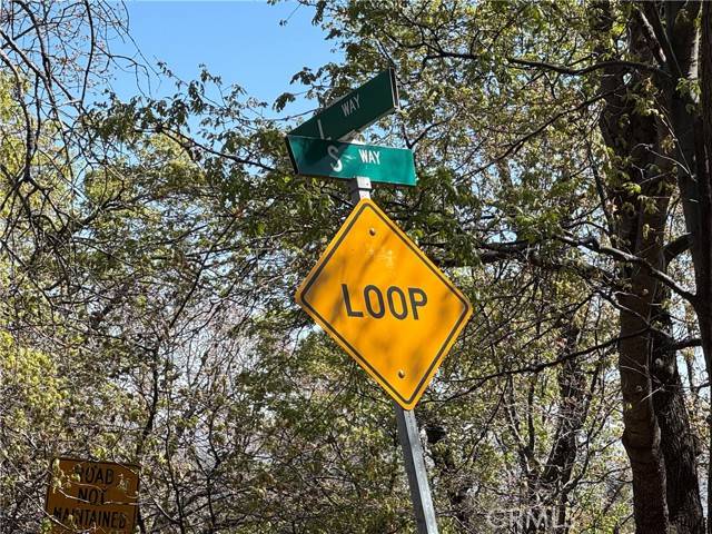 Lake Arrowhead, CA 92352,1684 L Way