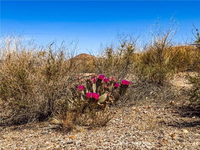 Other - See Remarks, CA 92389,120 Old Spanish Trail Hwy