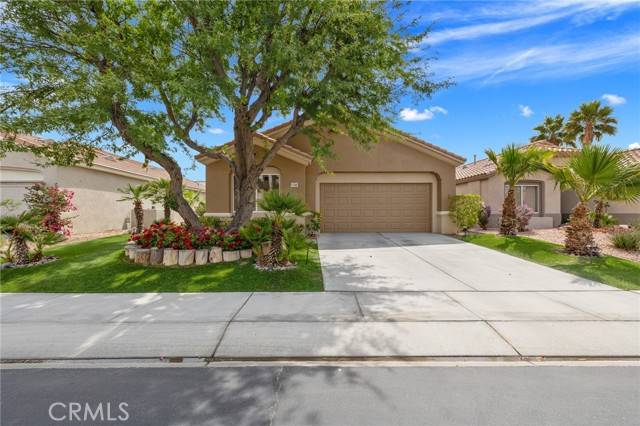Palm Desert, CA 92211,37388 Medjool