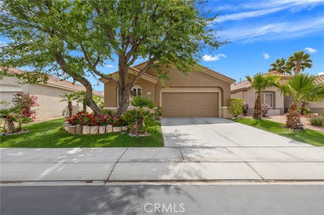 Palm Desert, CA 92211,37388 Medjool