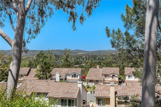 Aliso Viejo, CA 92656,47 Egret Lane