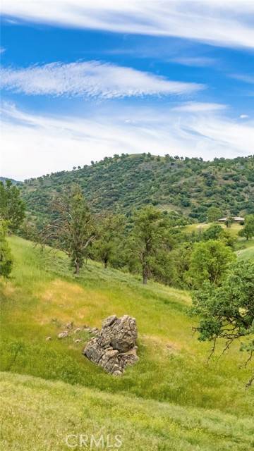 Tehachapi, CA 93561,29300 Horsethief Drive