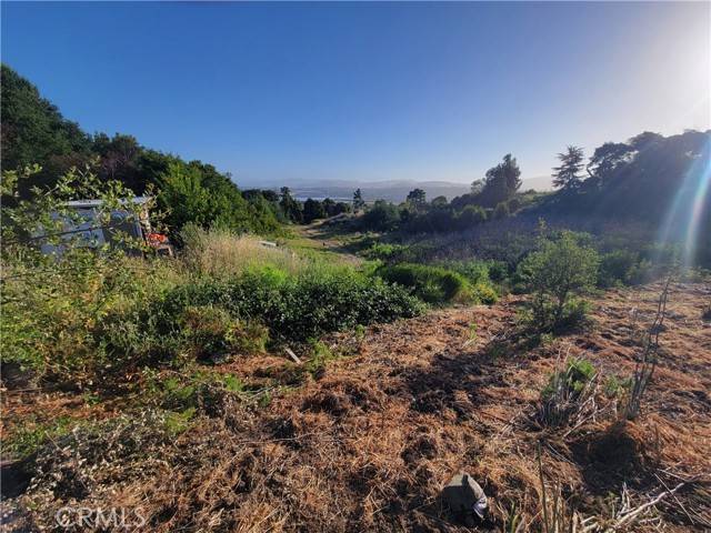 Vallejo, CA 94590,110 Harrier Ave