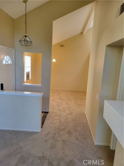 Rancho Santa Margarita, CA 92688,54 Dianthus