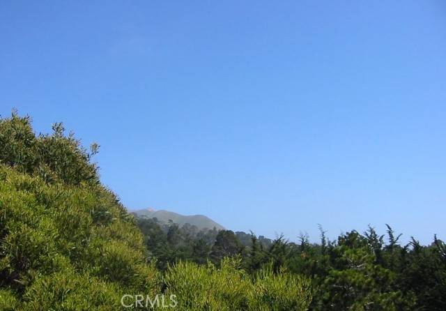 Carmel Highlands, CA 93923,195 Spindrift Road