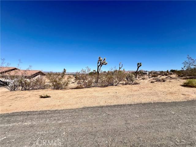 Joshua Tree, CA 92252,0 Torres Avenue