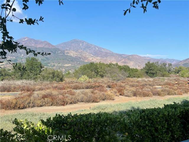 Rancho Santa Margarita, CA 92688,21 Lobelia