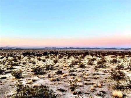 Joshua Tree, CA 92252,68 Sunkist