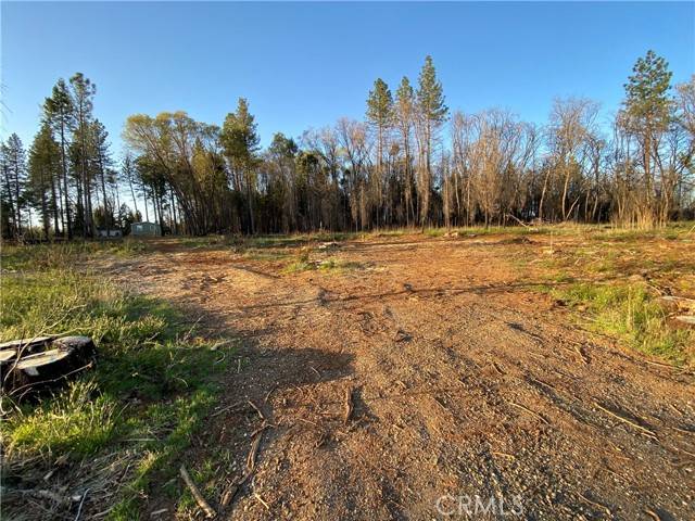 Magalia, CA 95954,14274 Skyway