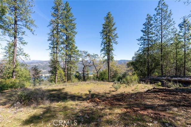 Oroville, CA 95966,0 Lake Haven