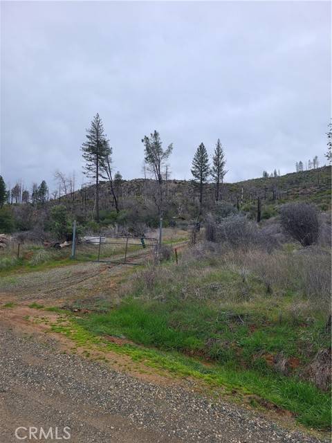 Paradise, CA 95965,3919 Deadwood Rd