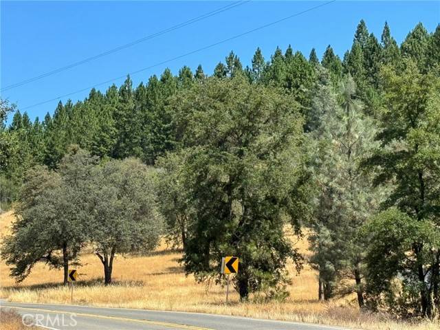 Dobbins, CA 95935,9652 Marysville Road