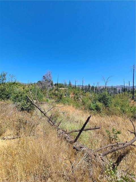 Paradise, CA 95966,0 Hog Ranch Road