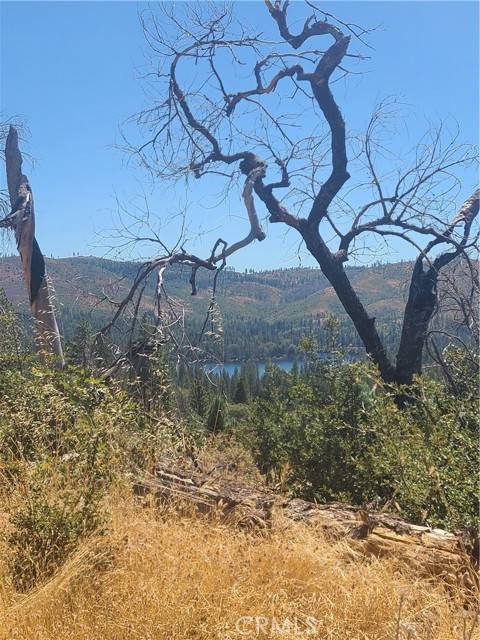 Paradise, CA 95966,0 Hog Ranch Road