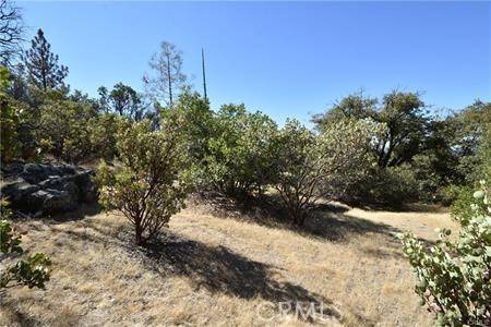 Berry Creek, CA 95916,0 Indian Cemetary Road