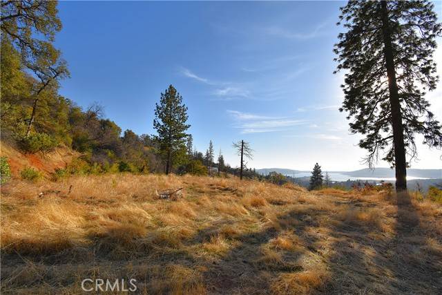 Berry Creek, CA 95966,0 Canyon Creek Road