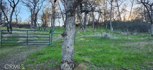 Bangor, CA 95901,0 Sunny Hills Road