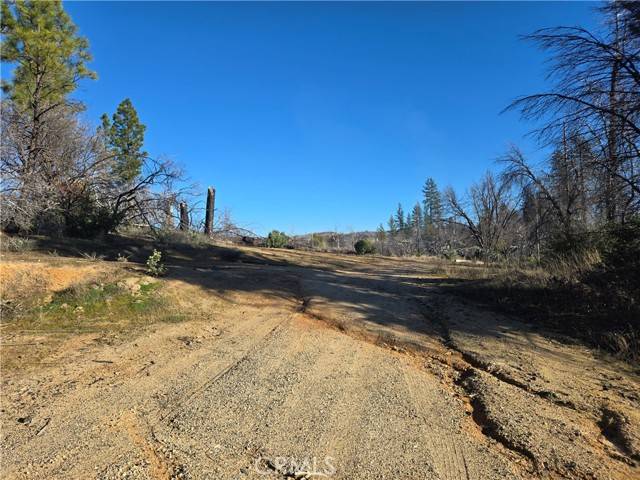 Berry Creek, CA 95916,28 Bay Ranch Road