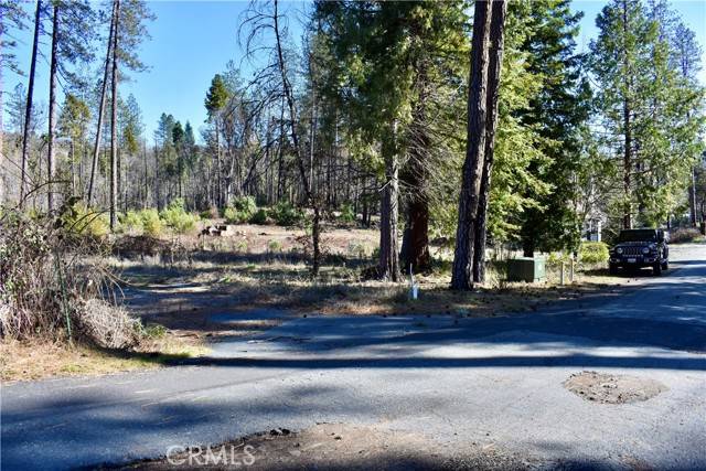 Berry Creek, CA 95916,20 Meadow Lane