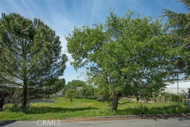Oroville, CA 95966,517 Silver Leaf Drive