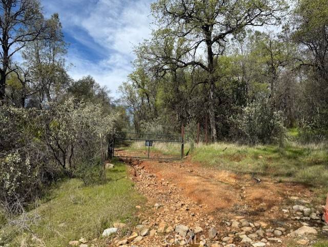 Oroville, CA 95966,0 Purple Rocks Lane