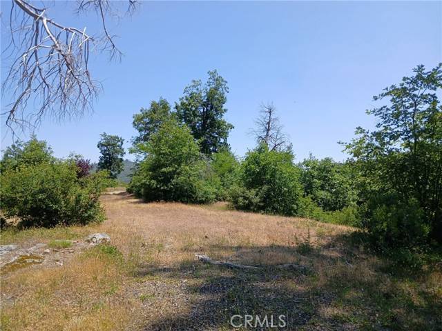 Oroville, CA 95965,13392 Hog Ranch Road