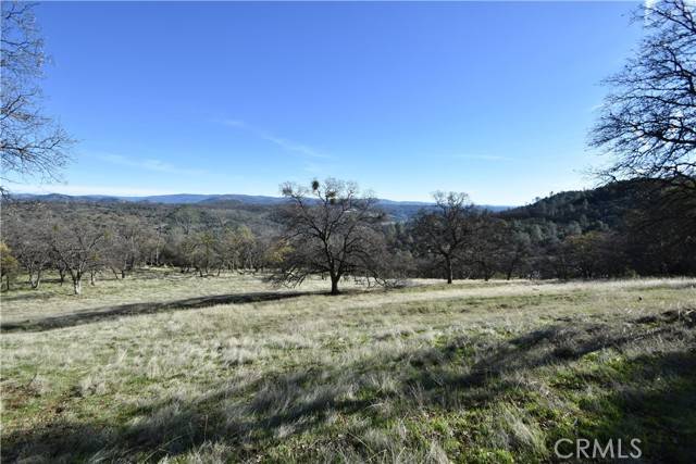 Oroville, CA 95965,1193 Oregon Gulch Road