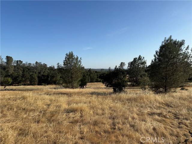 Oroville, CA 95966,0 Skyline Boulevard