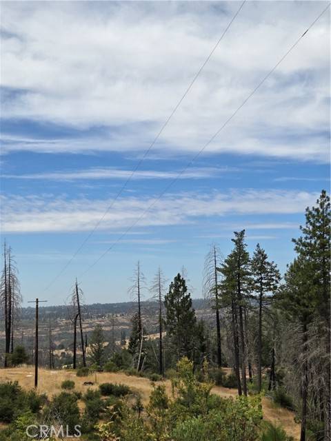 Oroville, CA 95965,11269 Dawn Terrace