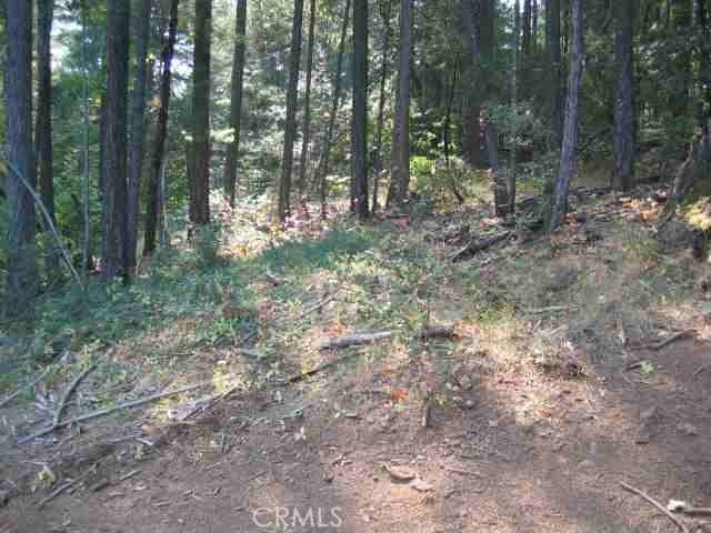 Berry Creek, CA 95916,0 He Le Ve Road