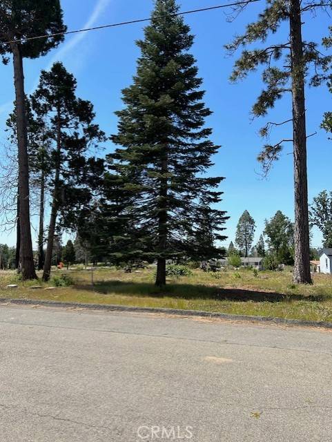 Magalia, CA 95954,6394 Calvin Drive