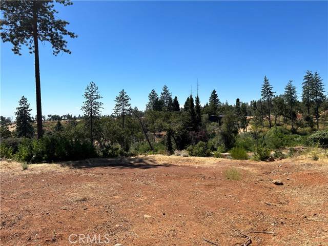 Paradise, CA 95969,2181 De Mille Road