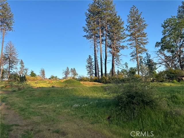 Paradise, CA 95969,8354 Skyway