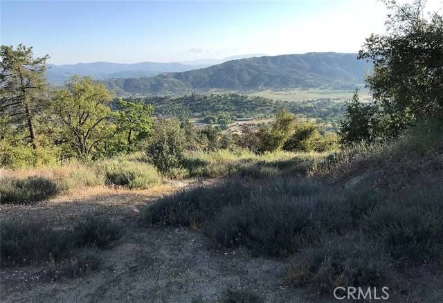 Tehachapi, CA 93561,24091 Jacaranda Drive