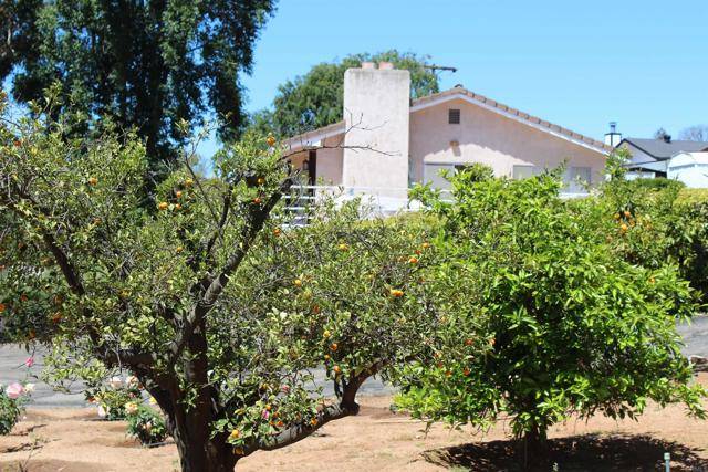 Lakeside, CA 92040,11437 Valle Vista Drive