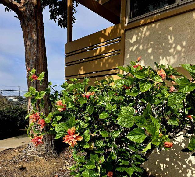 San Diego, CA 92110,2666 Worden #8