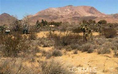 Mojave, CA 93501,7494 Mojave Tropico Rd