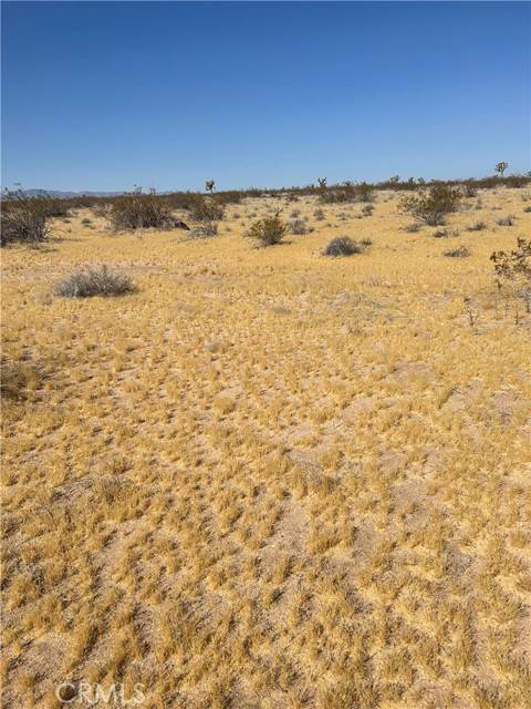 Adelanto, CA 92301,5 Mi N/O Shadow Mt Road