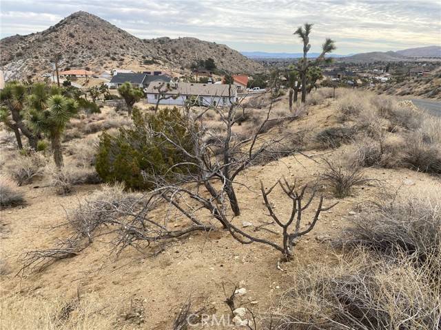 Yucca Valley, CA 92284,0 Free Gold Drive