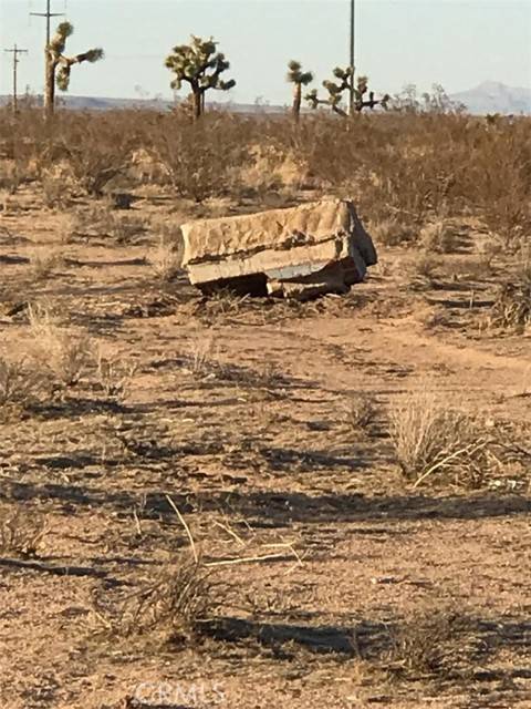 Adelanto, CA 92415,0 Verbena