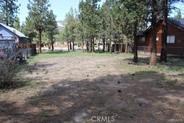 Big Bear City, CA 92314,125 E Mojave
