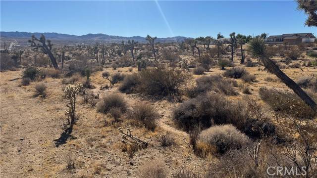 Yucca Valley, CA 92284,0 Yucca Mess