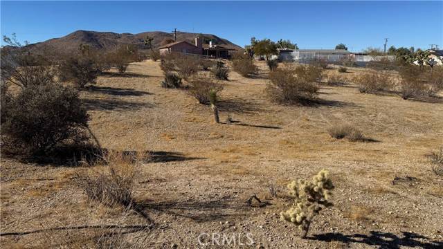 Yucca Valley, CA 92284,0 Yucca Mess