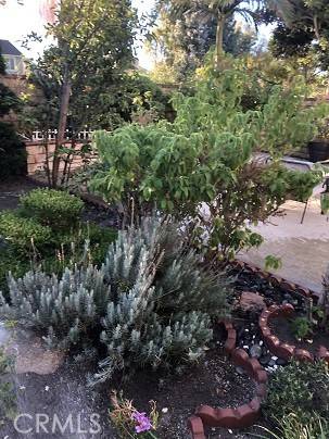 Irvine, CA 92620,8 Lee