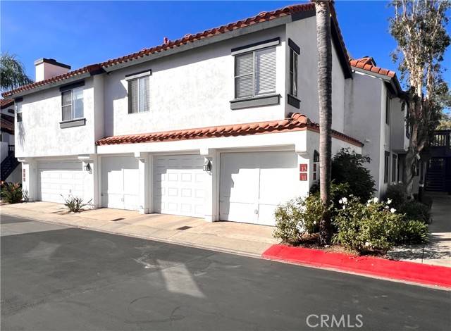 Rancho Santa Margarita, CA 92688,13 Aubrieta