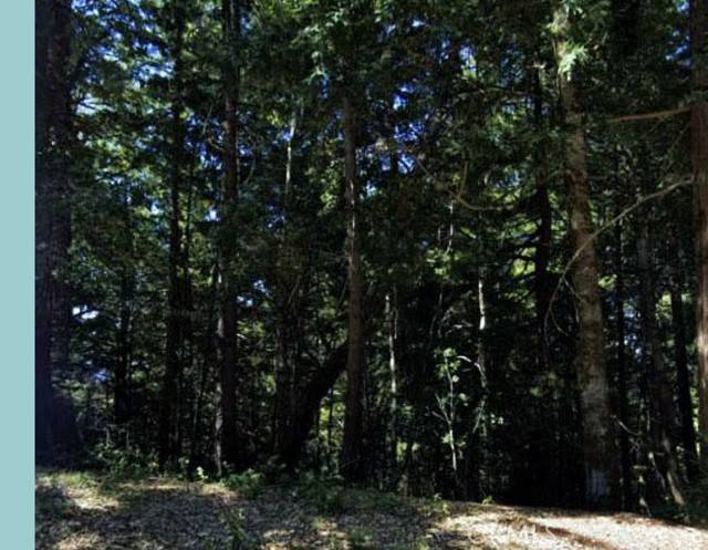 Willits, CA 95490,5181 Blue Lake Road