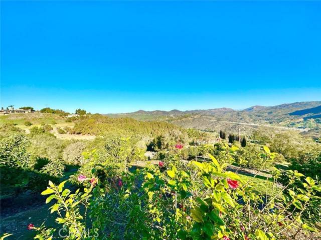 Fallbrook, CA 92028,2160 Puerto Del Mundo