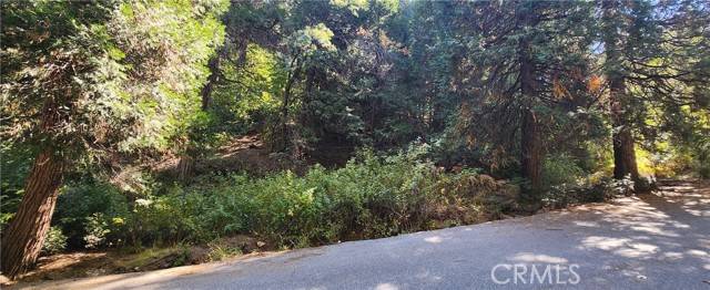 Lake Arrowhead, CA 92385,0 Maple Road