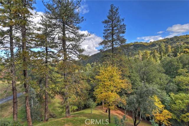 Crestline, CA 92325,24998 Jewel Drive